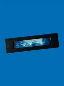 The Addams Family VHS Clutch